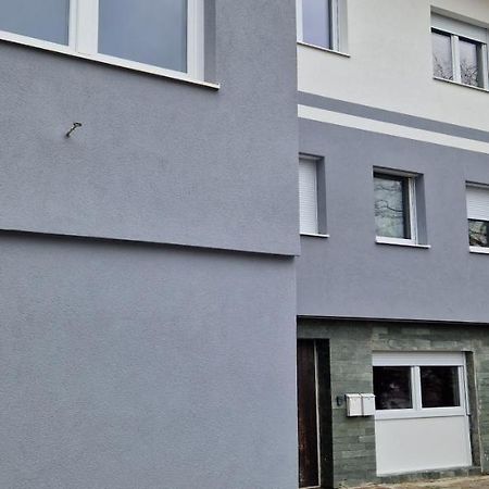 Adam'S Ferienapartments Bad Schallerbach Dış mekan fotoğraf